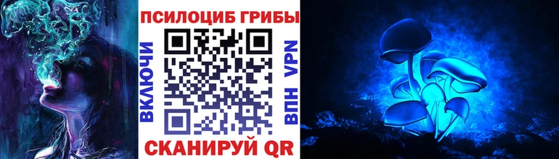 мега рабочий сайт  Королёв  Псилоцибиновые грибы прущие грибы 
